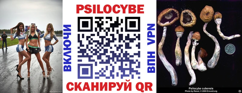 Галлюциногенные грибы MAGIC MUSHROOMS  Заполярный 