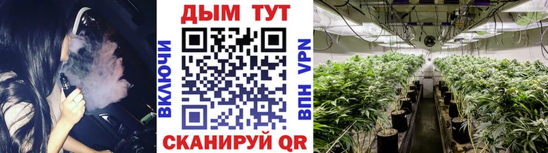 Шишки марихуана Amnesia  Заполярный 